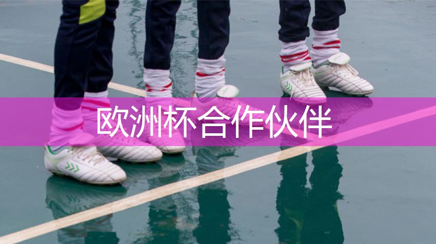 星空体育网站入口官网手机版：乒乓球台面的规定