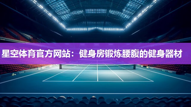 星空体育官方网站：健身房锻炼腰腹的健身器材