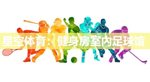 星空体育：健身房室内足球馆