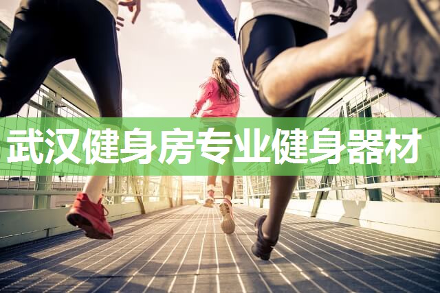 武汉健身房专业健身器材