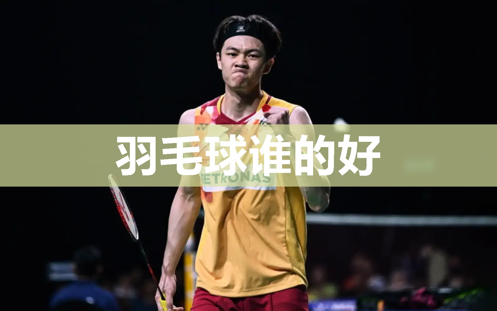 羽毛球谁的好