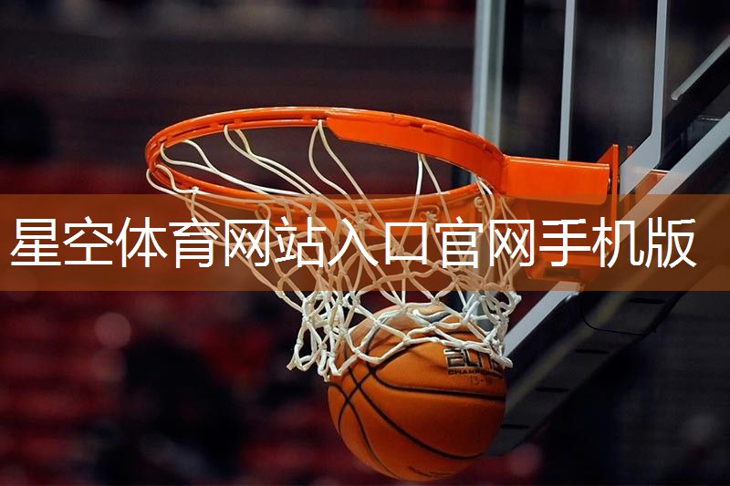 篮球训练体力的器材