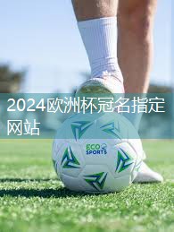 充满创意的乐园设备！儿童球木头滑梯让孩子尽情玩耍、放飞童心！