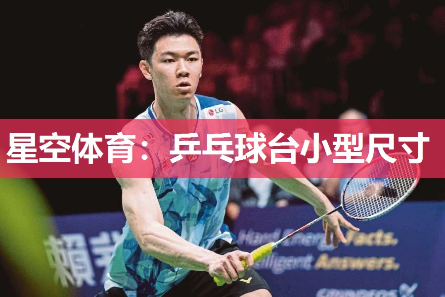 乒乓球台小型尺寸