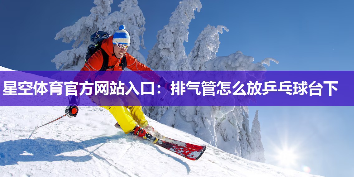 排气管怎么放乒乓球台下