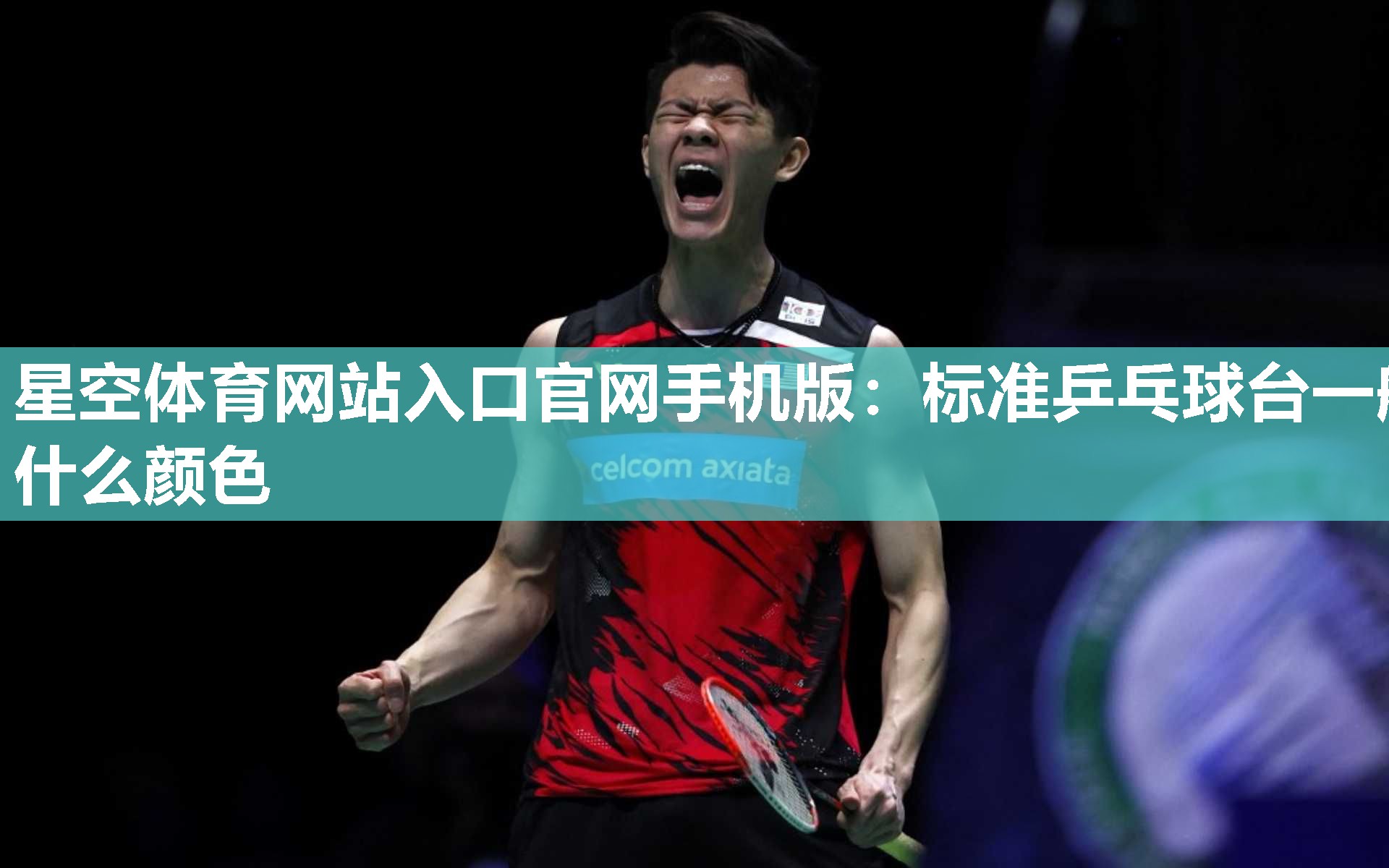 标准乒乓球台一般什么颜色