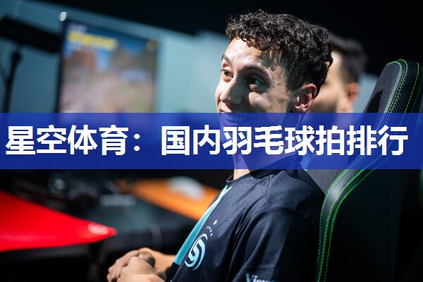 国内羽毛球拍排行