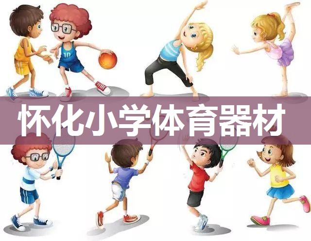 怀化小学体育器材