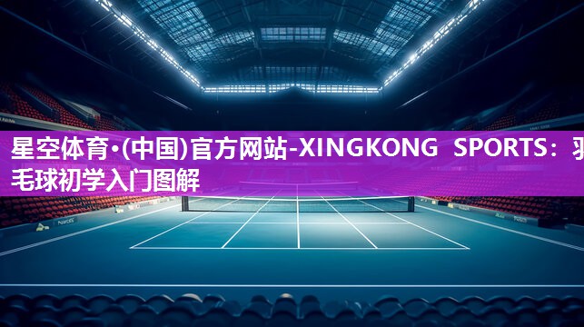 羽毛球初学入门图解