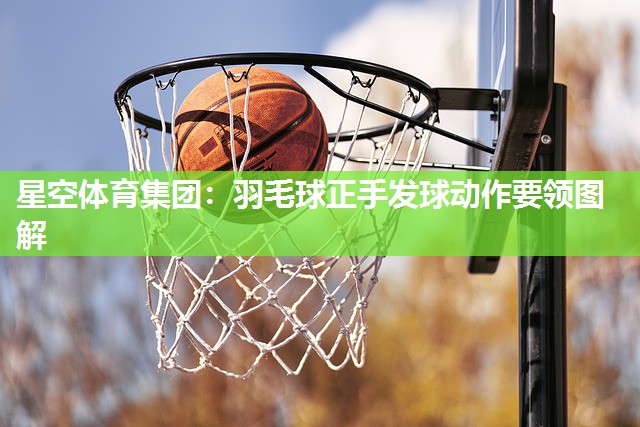 羽毛球正手发球动作要领图解