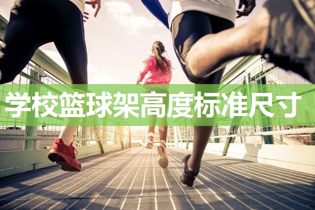 学校篮球架高度标准尺寸
