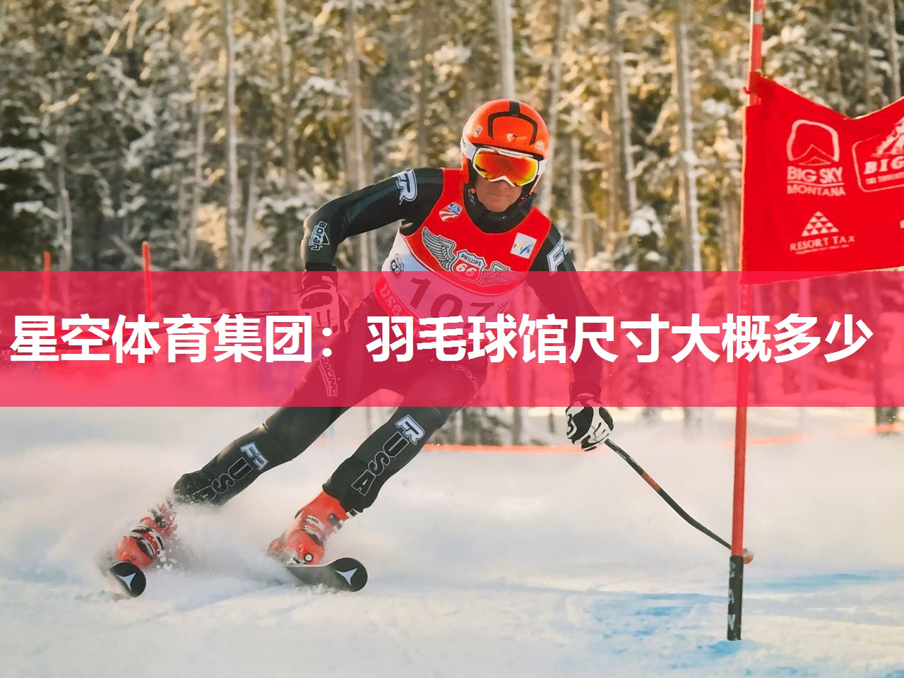 羽毛球馆尺寸大概多少