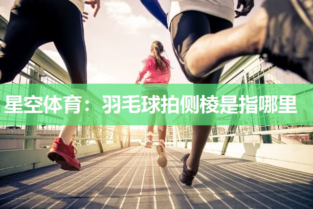 羽毛球拍侧棱是指哪里
