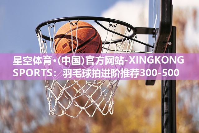 羽毛球拍进阶推荐300-500